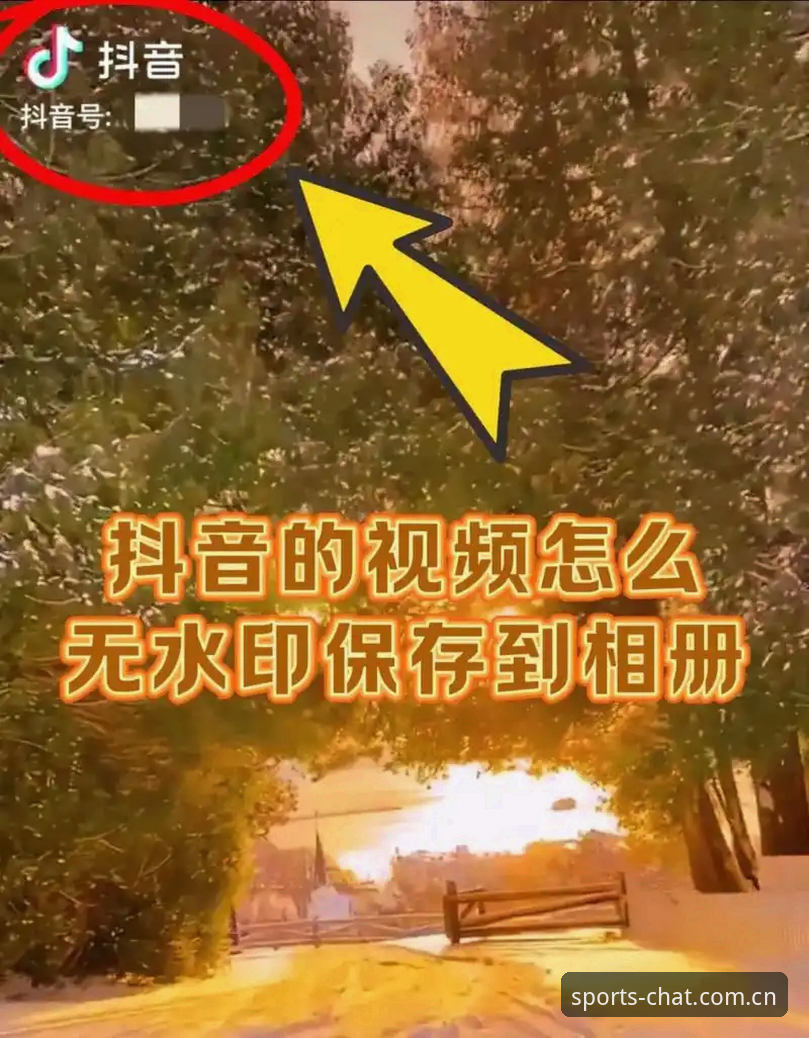 谈球吧体育平台怎么样教程 谈球吧体育平台功能与使用教程全面解析:从下载到账户安全的深度解读